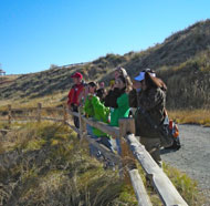 wildlife viewing